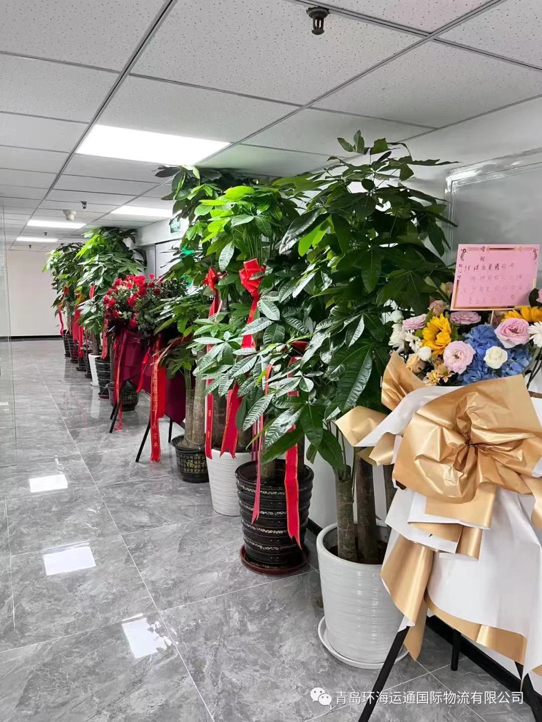 赏金国际官方网站图片